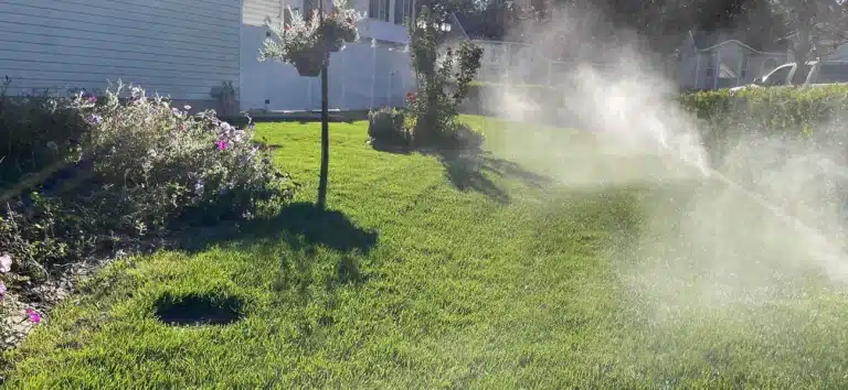 Seasonal Lawn Care Tips for Northern Utah Homeowners