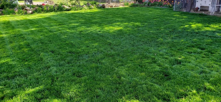 Landscaping refresh tips
