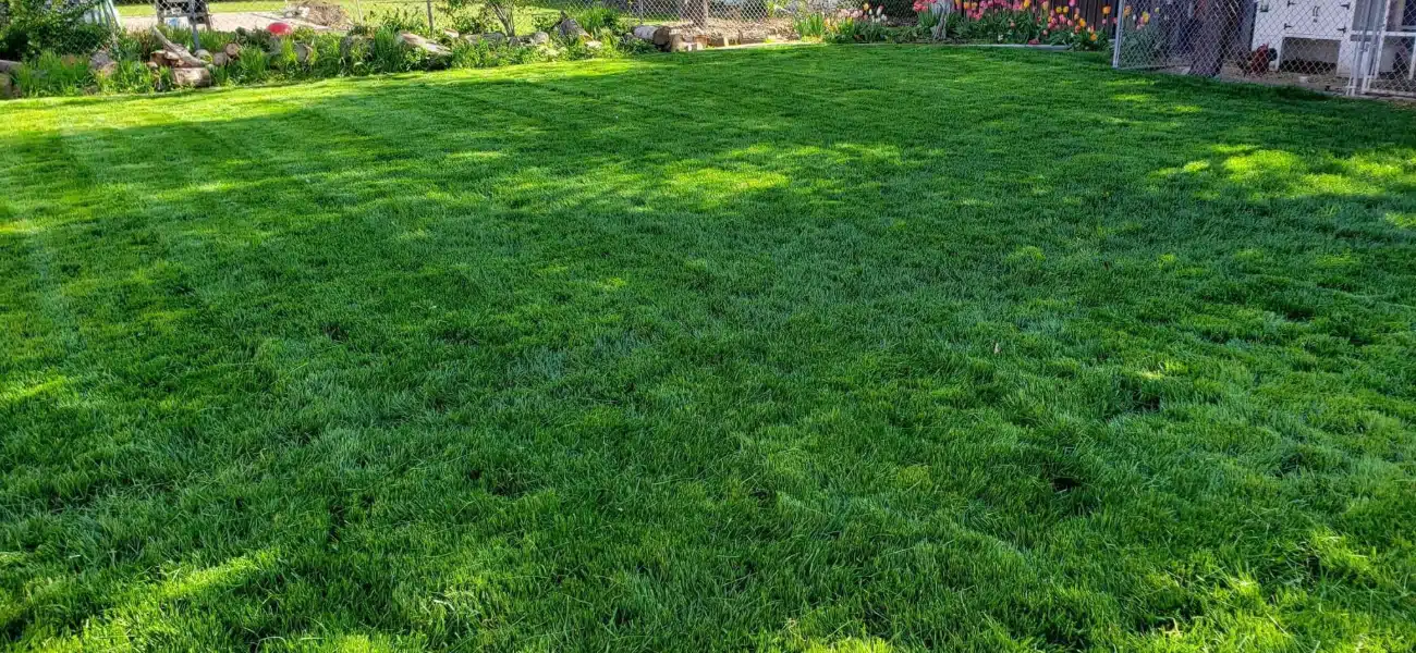 Landscaping refresh tips