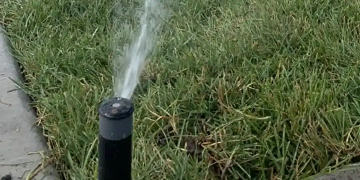 prevent overwatering in garden beds